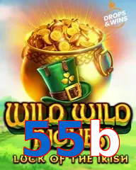 55b