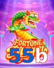 55b